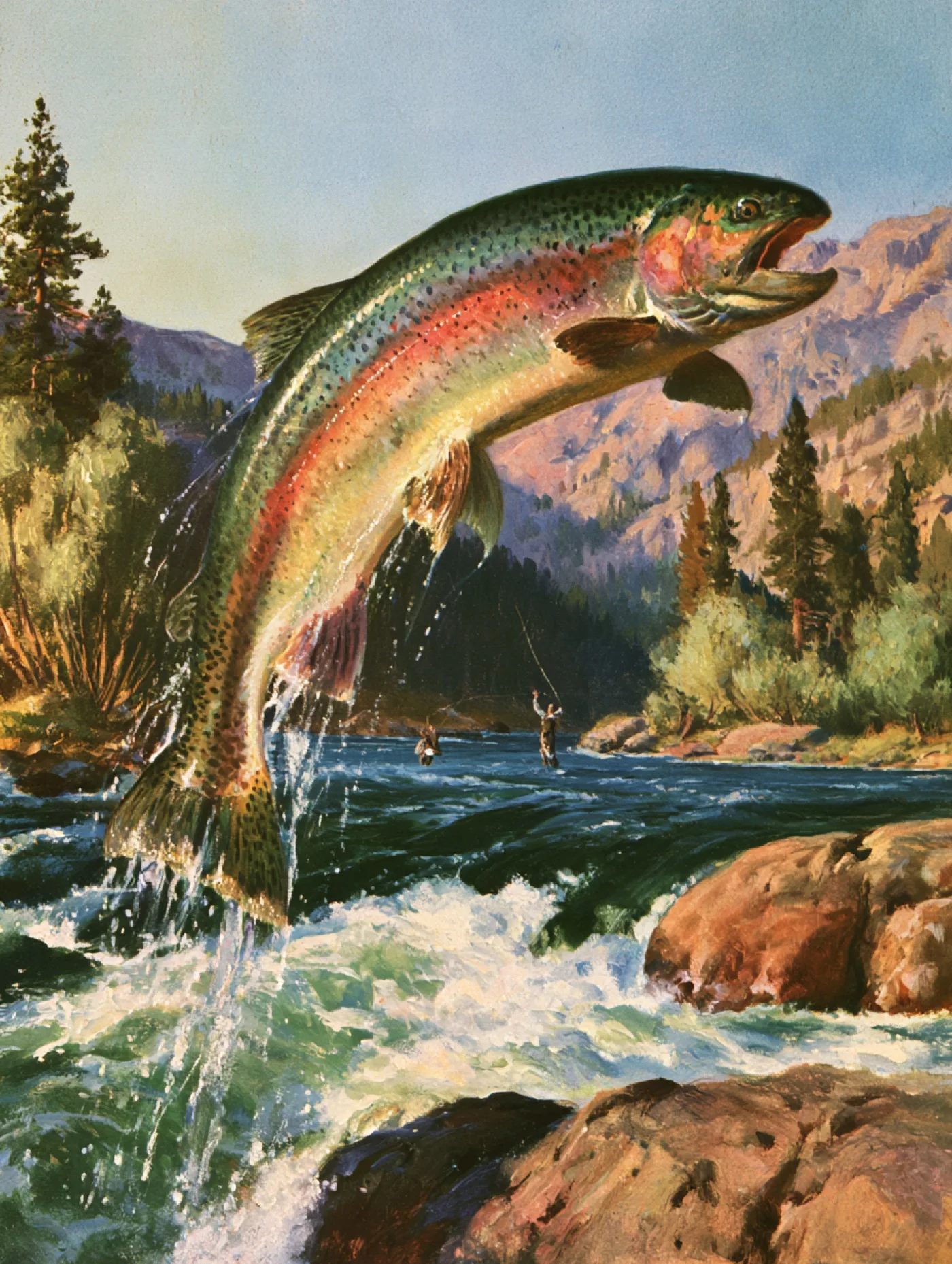 Painted cover: a rainbow trout leaping from the East Fork, two anglers midstream, the Sierra behind
