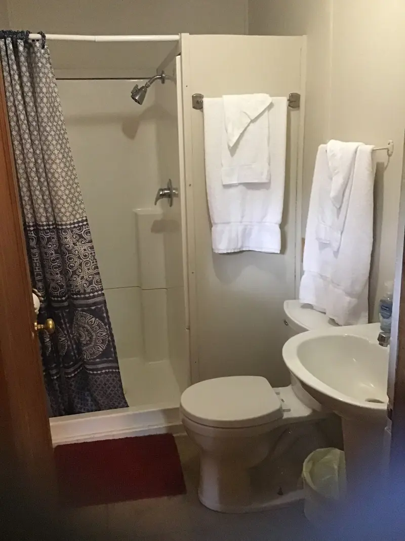 The bathroom — shower stall with a patterned curtain, towels on the bar, sink beside the toilet.