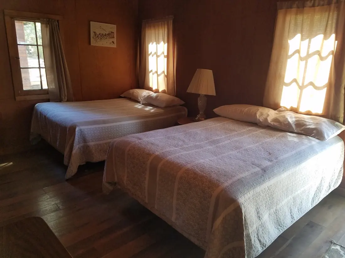 The bedroom — Both beds under the windows, curtains drawn back, afternoon light lying across the wood floor.