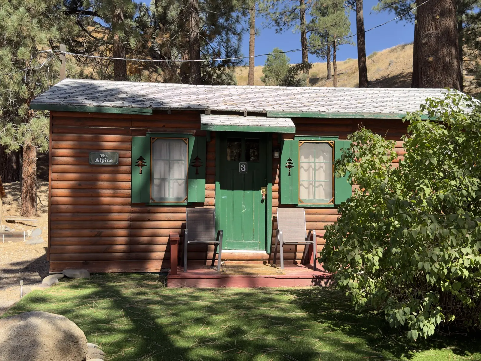 Cabin №3, The Alpine, under the pines.
