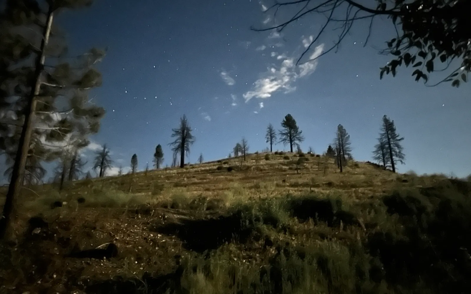 The hill above the resort by moonlight, stars out — the owner's photograph, August 2023.
