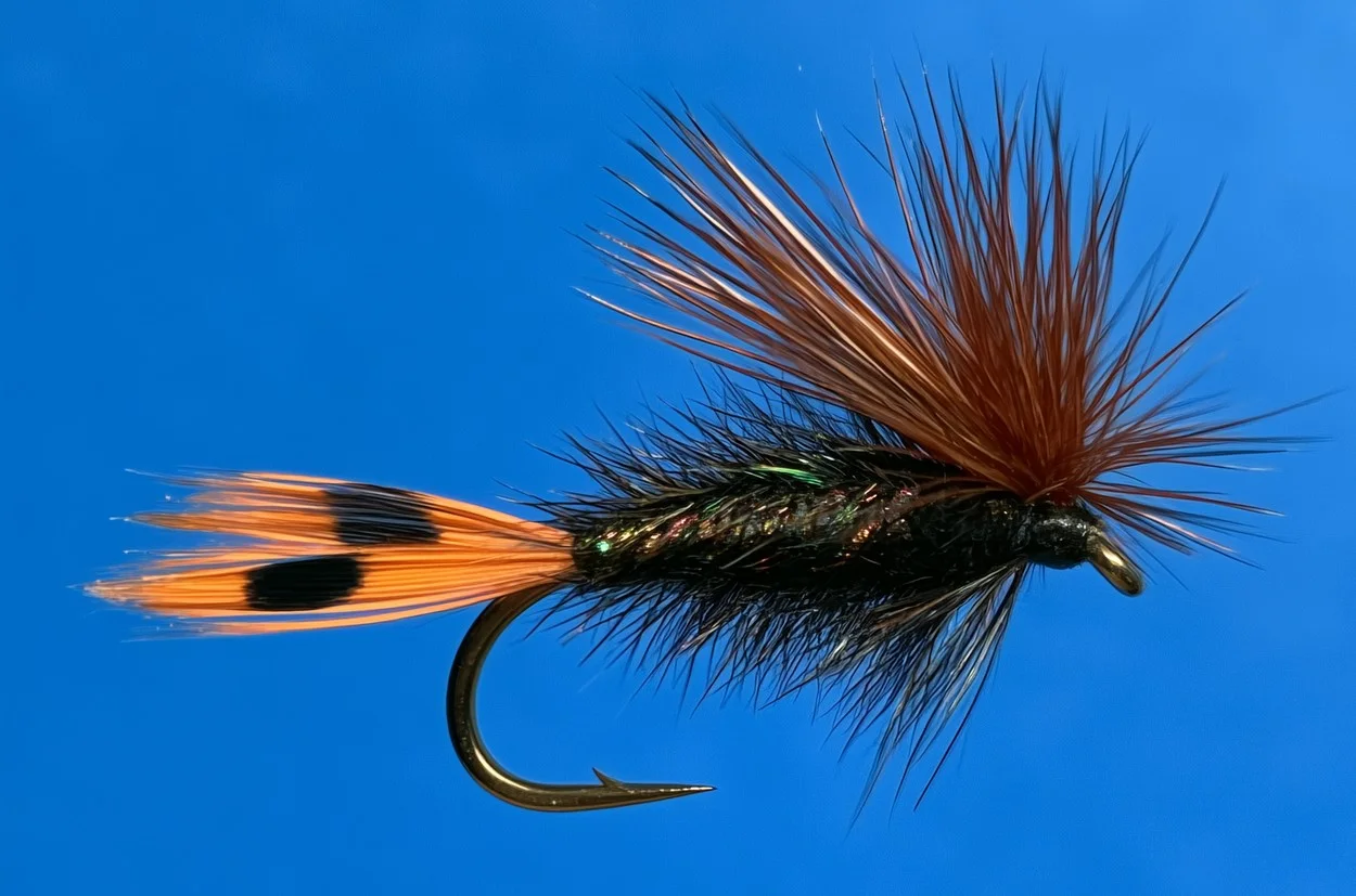 The King — peacock herl body, black thread, golden pheasant tippet tail, brown neck hackle, no wing. A rendering built from the printed dressing, not a photograph of a tied fly.