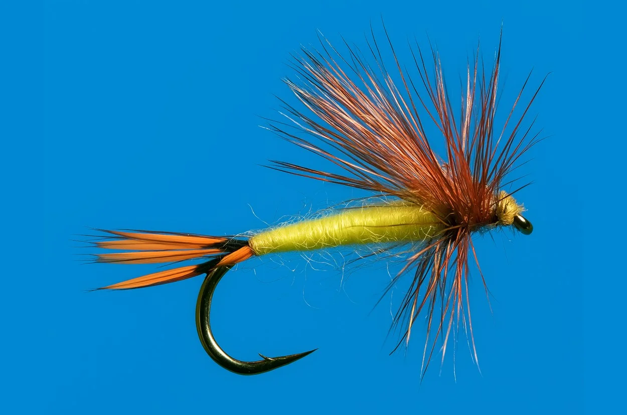 The Queen — the same fly with a yellow floss body and yellow thread. Also a rendering, built line by line from appendix entry 102.