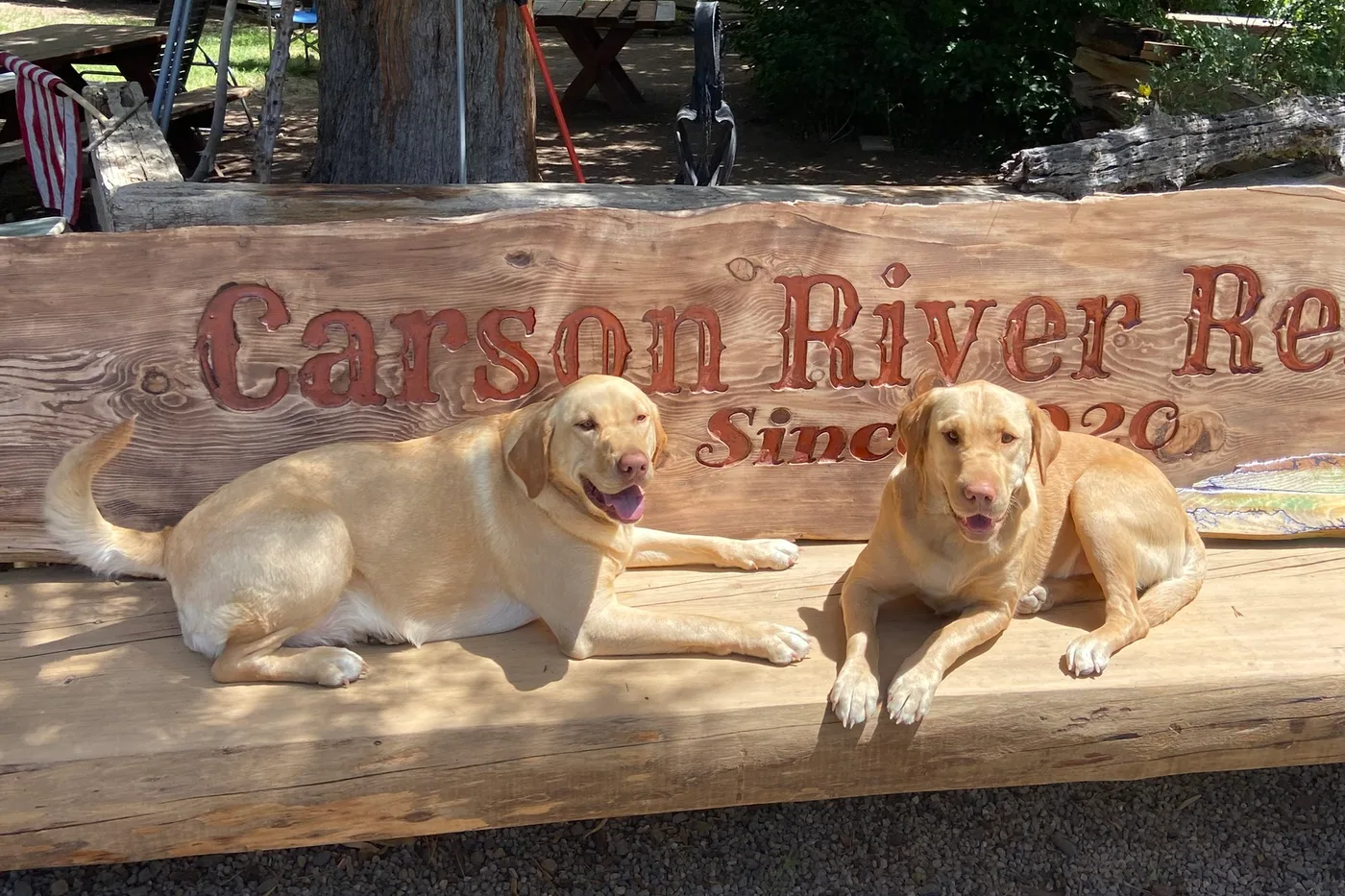Carson and River on the carved sign under the big juniper, the fish plate propped at the end of the slab.
