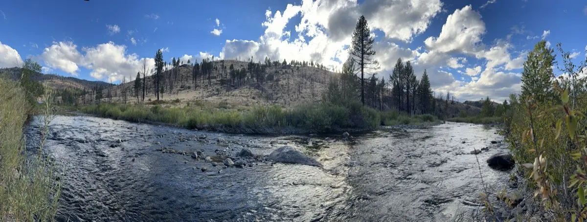 The East Fork below the resort — summer flow over the bar, the burn-scarred ridge behind.