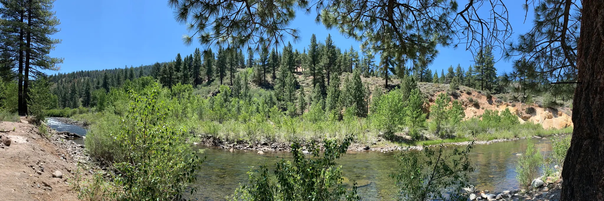 The East Fork at riverside site 4 — clear water over cobble, willow banks, the ponderosa hillside behind — the owner's photograph, July 2020.