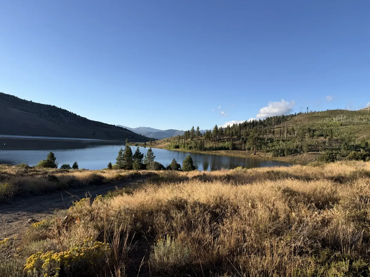 Heenan Lake at golden hour, the broodstock water below the Monitor road.