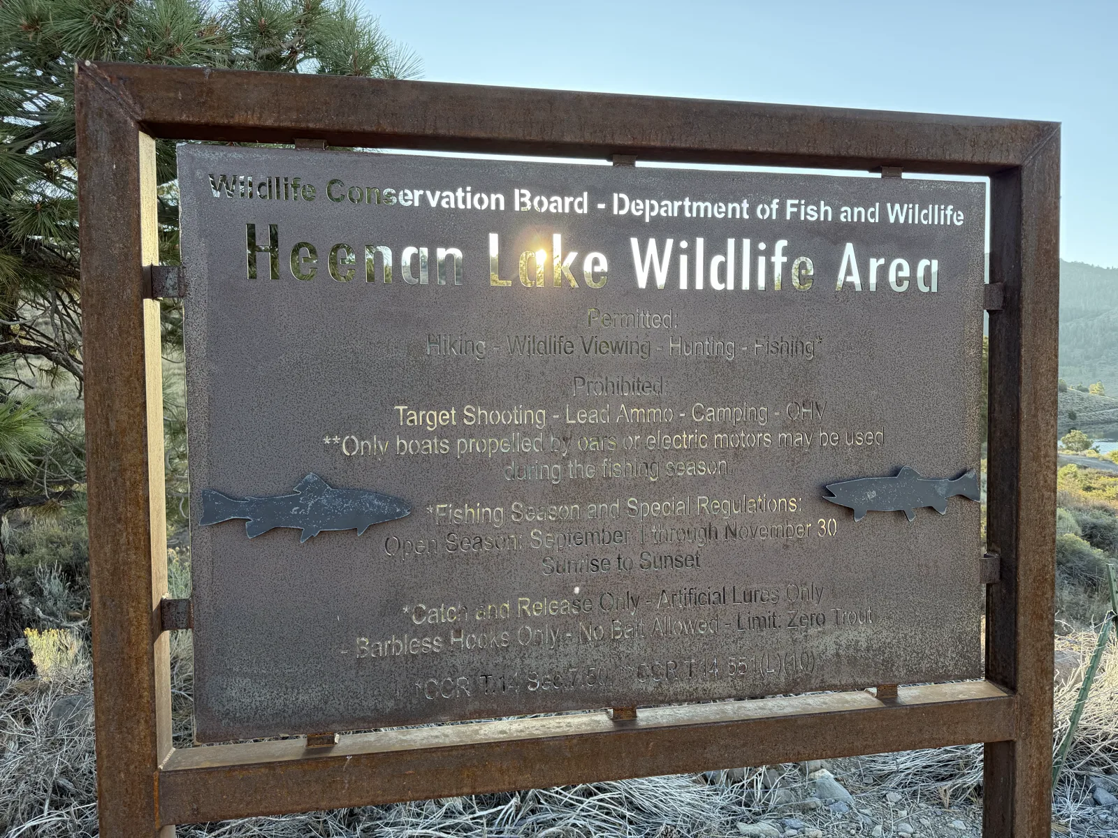 The rules in cut steel at the wildlife-area entrance — season, sunrise to sunset, catch-and-release, barbless, zero limit — the last thing you read before you rig up.