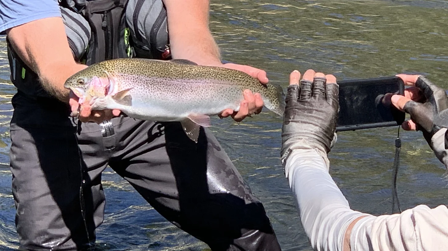 A rainbow trout held above the East Fork on opening weekend, one angler steadying it while another photographs it, the river running clear behind.