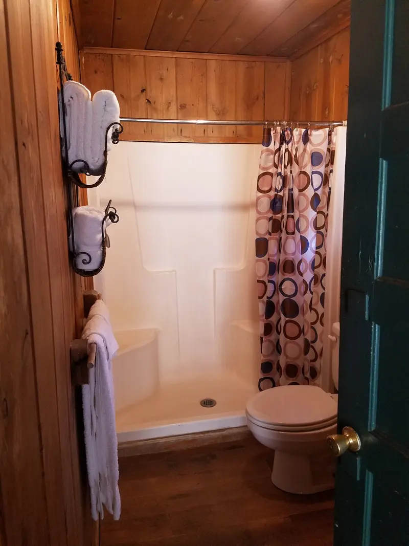 The bathroom — shower stall with a patterned curtain, toilet, towels on a scrolled rack.