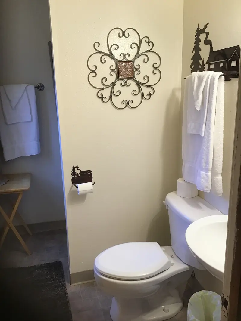 The bathroom — sink and toilet, towels on the rack, ironwork hung on the wall.