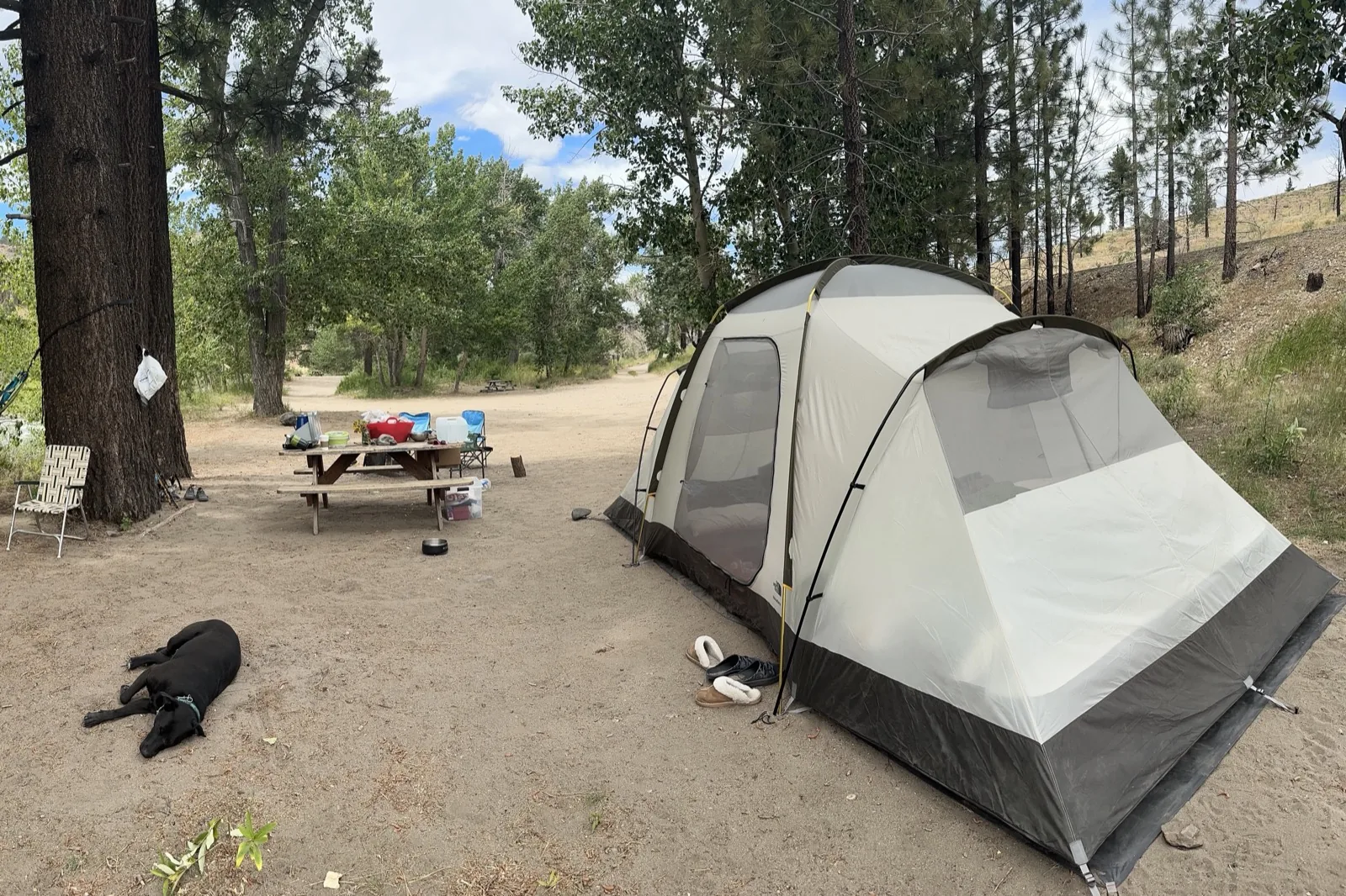 Riverside site 1 — the tent under the big pine, the table and a hammock, the cottonwoods along the East Fork behind; the owner's photograph.