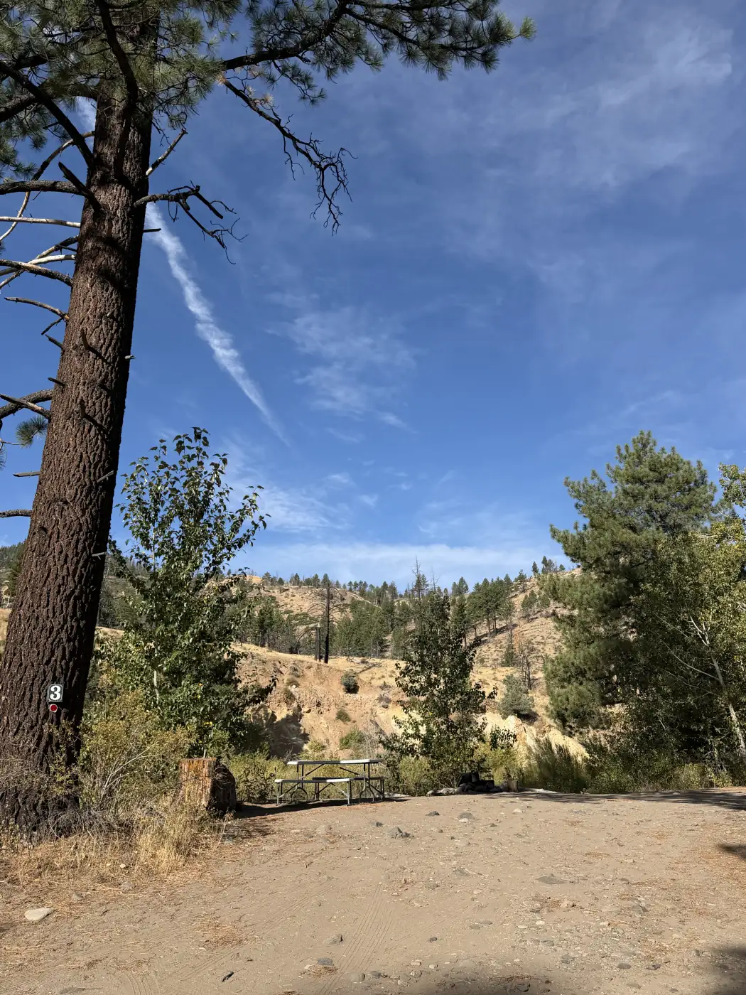 Riverside site 3 — its numbered post on the ponderosa, the hill rising behind the site — the owner's photograph, September 2026.