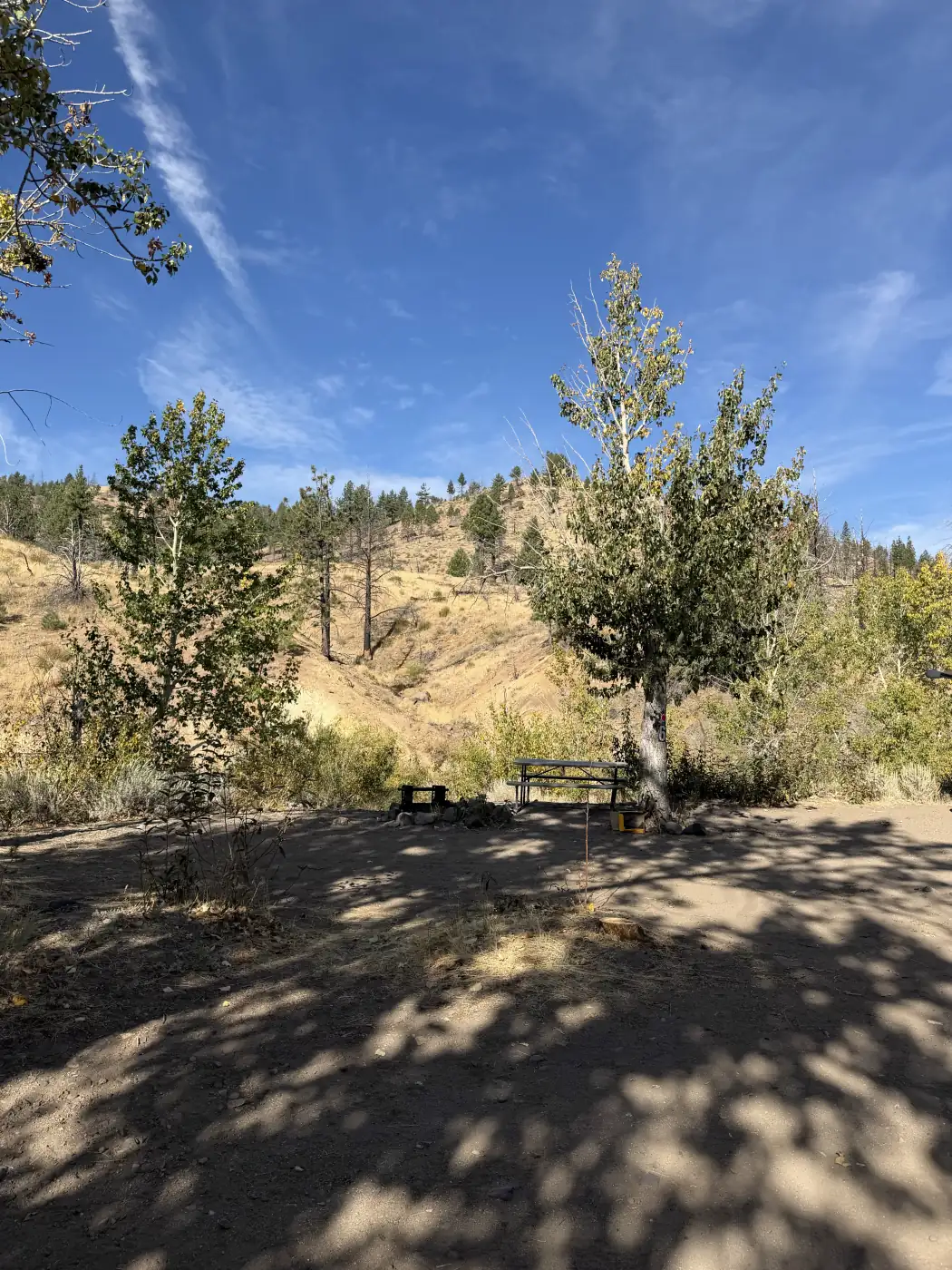 Riverside site 5 — the table in the shade of a cottonwood, the hillside across the water — the owner's photograph, September 2026.