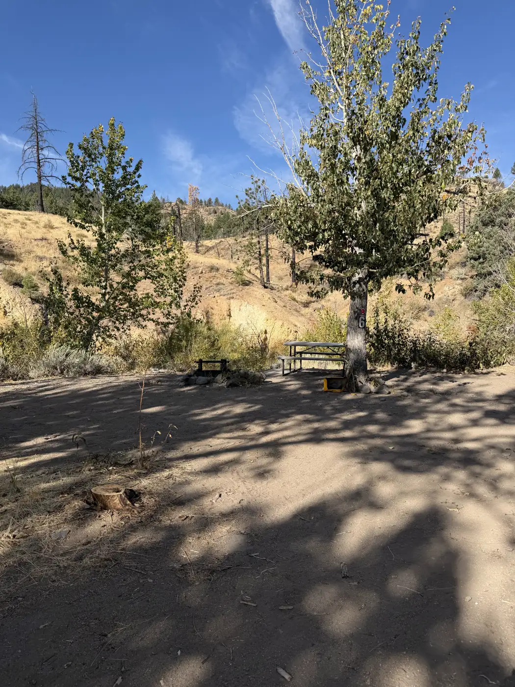 Riverside site 6 — table and fire ring under the cottonwood, the bank behind — the owner's photograph, September 2026.