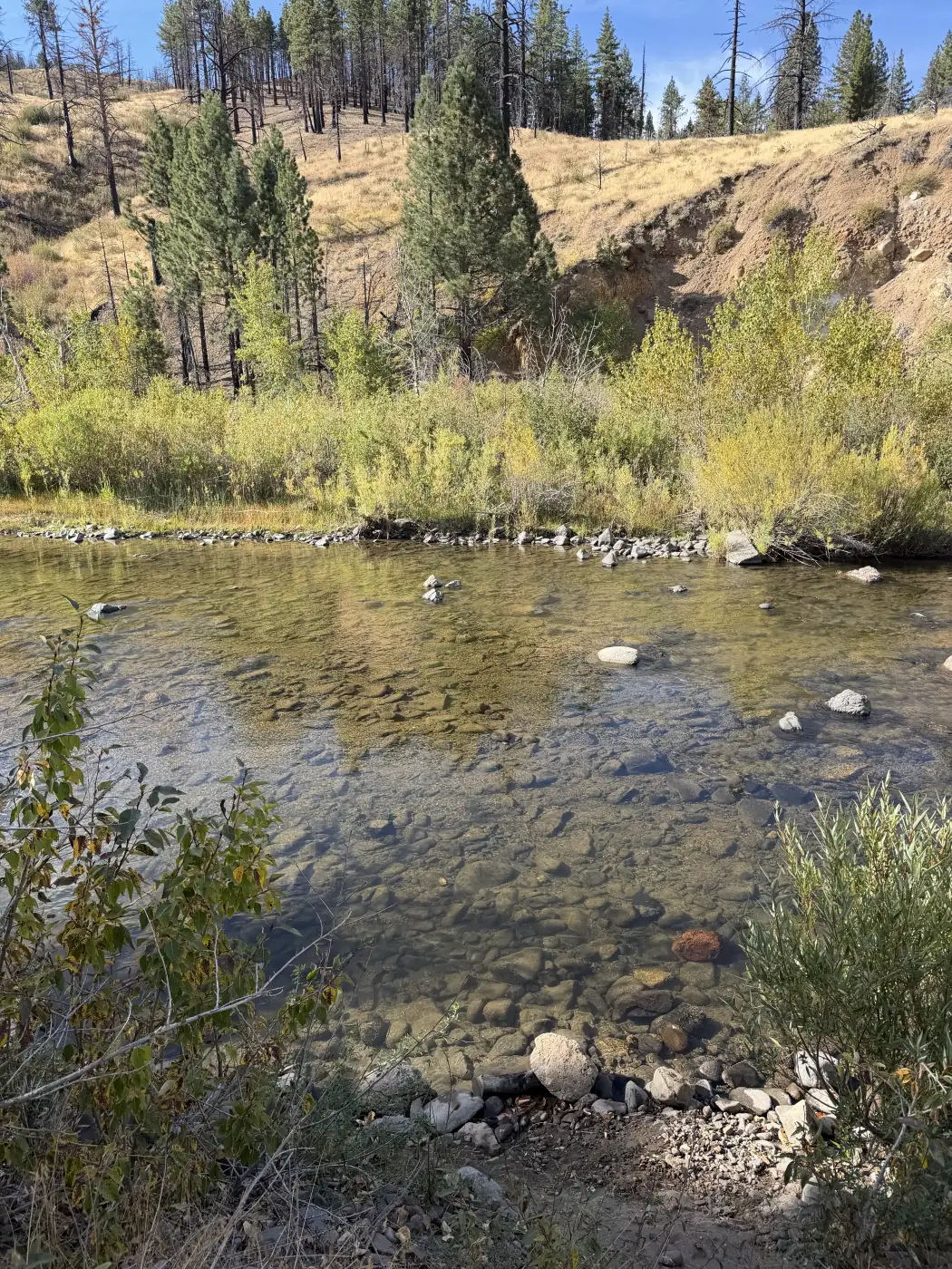 The East Fork over its cobble at the sites, low and clear in September — the owner's photograph, September 2026.
