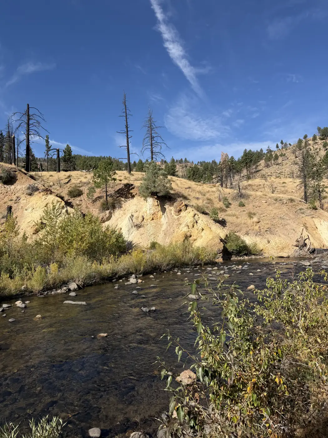 The river from site 5, the hillside across the water — the owner's photograph, September 2026.