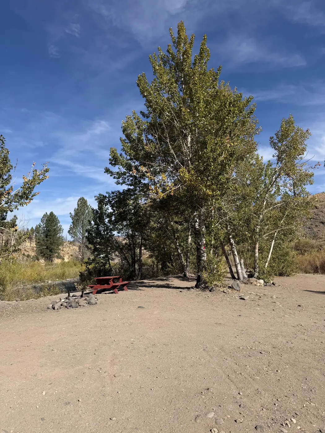 The cottonwood grove at site 7, the red table beyond — the owner's photograph, September 2026.