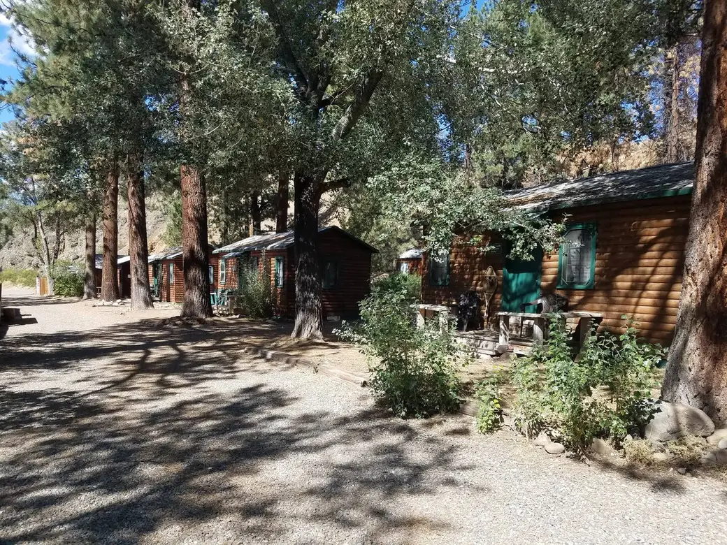 The cabin row under the pines and cottonwoods, the gravel drive in dappled shade.