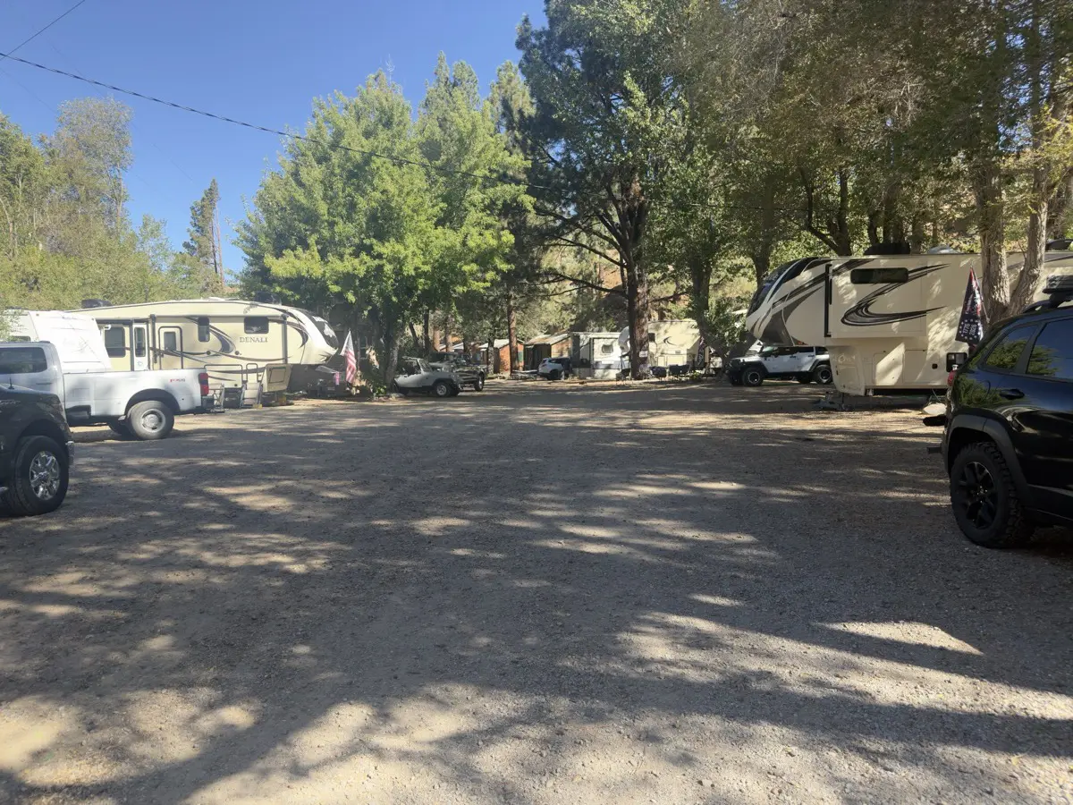 The up-top RV row under the cottonwoods, rigs in.