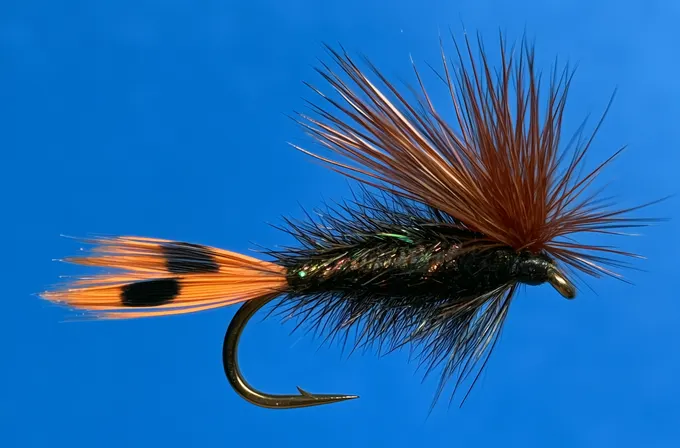The Carson King — the shop's own fly: barred golden tail, peacock body, brown hackle wing.